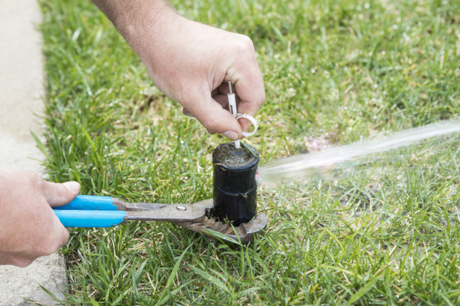How to Tell if You Need Irrigation Repair Services